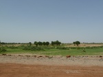 19173P1010019.JPG