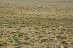 27540DSC_8054.JPG
