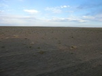36595CIMG0364.JPG