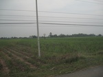 28341IMG_5204.JPG
