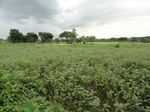 22136DSC00379.JPG