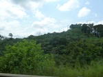 20310P1020166.JPG