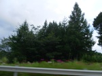 54534SAM_0963.JPG