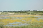 2024-08-05_14-21-43_B3C8413B-8787-466D-B461-A1444BF9C235.jpeg