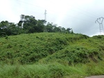 25241P1020084.JPG