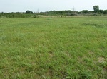 29295P1040597.JPG