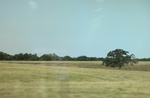 2024-06-17_21-12-31_C2897121-1C84-4C6B-9513-19E3FA7D552F_1_201_a.jpeg