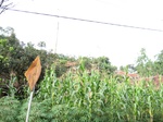 14638IMG_5019.JPG