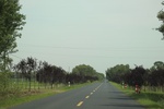 2024-08-05_15-52-13_66701D95-CDE2-489D-B298-2C5EFD2E89FB.jpeg