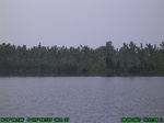 1388R0015143_tag.jpg