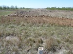 29239ARNE20110505S.JPG