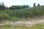 2024-08-05_15-52-06_2DECD347-EC27-432A-BE15-FF695BAD1833.jpeg