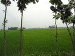 21728DSC00270.JPG
