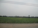 28346IMG_5211.JPG