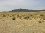 37185CIMG0983.JPG