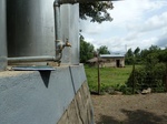 26252P1030026.JPG