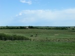 30092CIMG0033.JPG