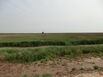 53793CIMG0259.JPG