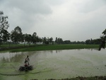 21731DSC00273.JPG