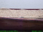 1116R0015295_tag.jpg