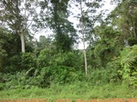 47529CIMG3866.JPG