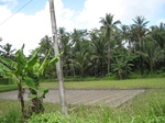 15481IMG_4551.JPG