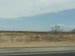 35296DSC02806.JPG