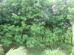 34821CIMG1473.JPG