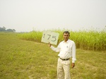 6737gt175-cropland-1.jpg