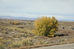 2022-11-02_16-09-59_C06E67CE-98D9-416A-97C5-D9AE59A82385.jpeg