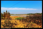39646nEO_IMG_CIMG0411.jpg
