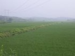 1173R0015036_small.jpg