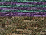 11622068-Irrigated (Surface water) cotton-b.jpg