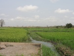 26745DSC00966.JPG