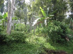 13881IMG_4161.JPG