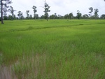 33426RIMG0166.JPG