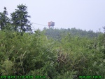 1188R0015043_tag.jpg