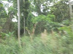 49593CIMG5930.JPG