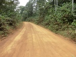 47376CIMG3713.JPG