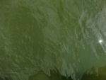 58066CIMG2360.JPG