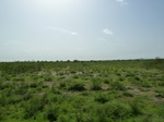 19302P1010148.JPG