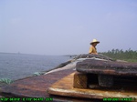 1334R0015116_tag.jpg