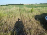 39290SEIL20110726W.JPG