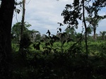 32005IMG_5562.JPG