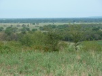 36117P1050216.JPG