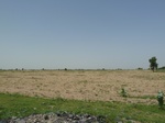 19164P1010010.JPG