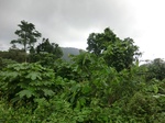 45575CIMG2660.JPG