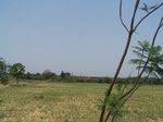 1763322042008(13).JPG