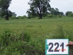 127930221c-rainfed-agriculture-mixed-crop-soyabean-gram.gif