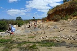 28663P1010680-1.JPG